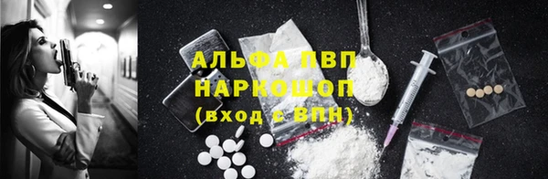 PSILOCYBIN Касимов