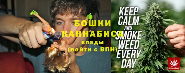 PSILOCYBIN Касимов
