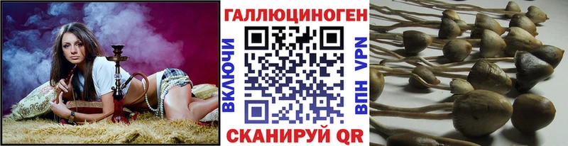 Галлюциногенные грибы мухоморы Константиновск