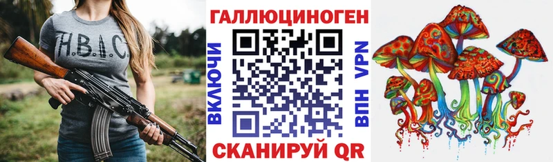 продажа наркотиков  Константиновск  blacksprut маркетплейс  Псилоцибиновые грибы Psilocybe 